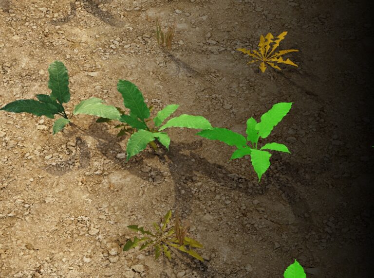 Plantwithmask